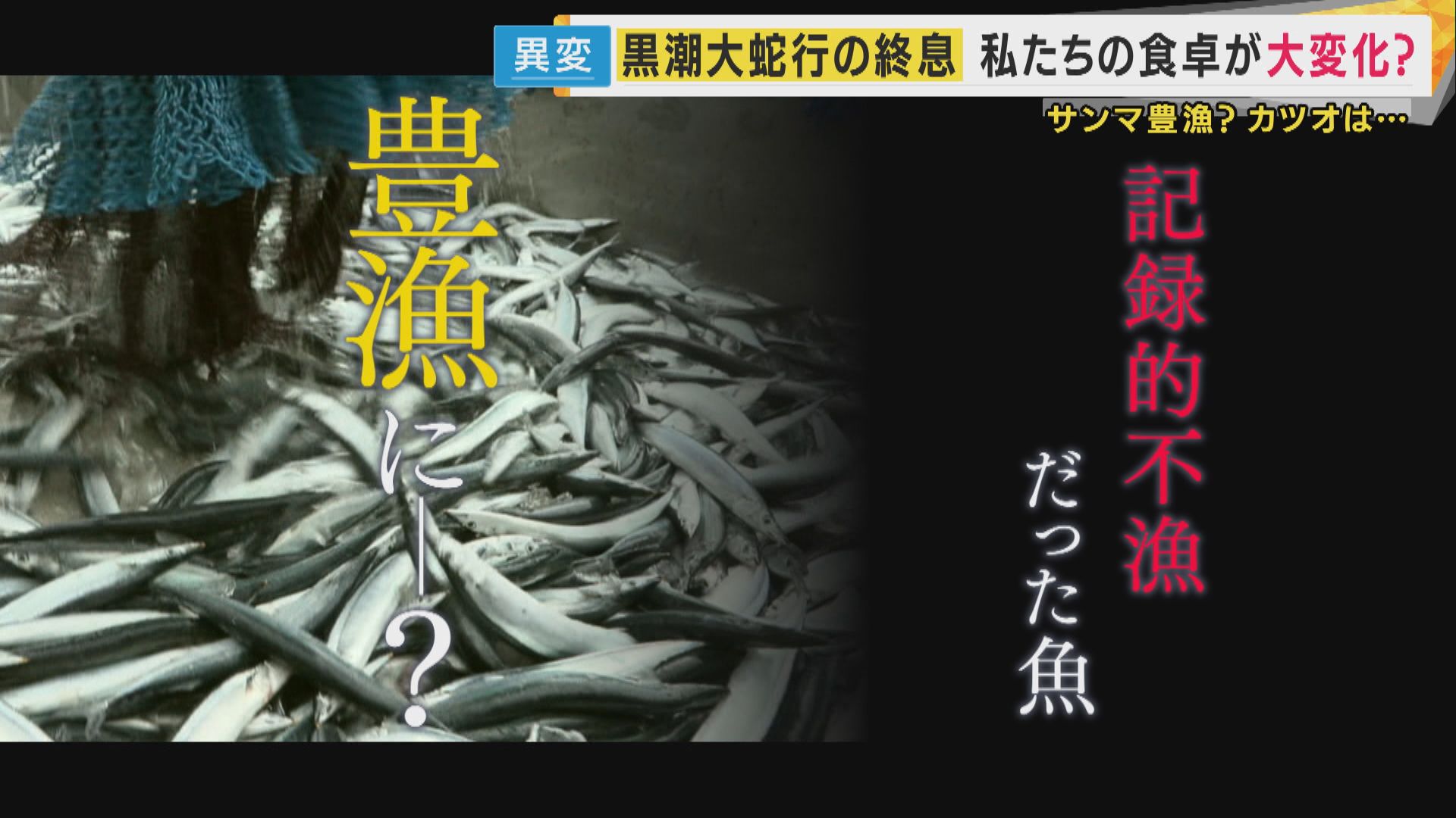 気象庁が終息を発表した黒潮大蛇行。日本の漁業と食卓への影響が注目される。