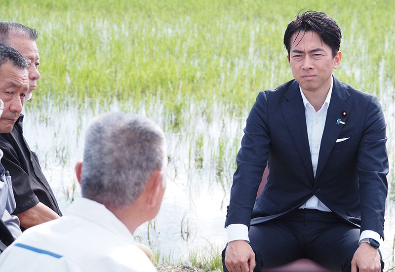 小泉農水相が福島県の農家と意見交換する様子。政府の備蓄米放出と米価高騰に関する農業政策について対話する場面。