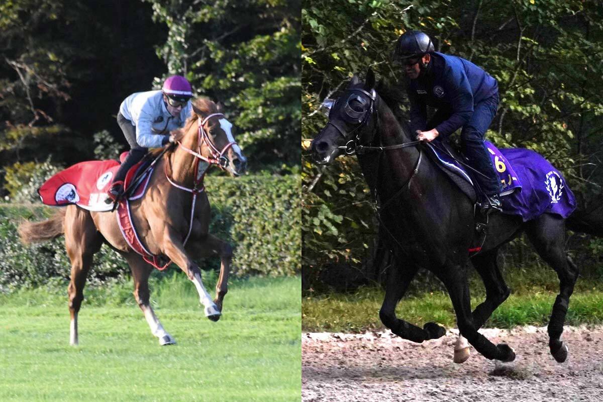 クロワデュノール グラフィカルパーカー L 競馬 パーカー クロワデュノール - 競馬グッズの通販サイト ノーザン