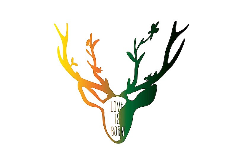 大塚愛　ファンクラブ会員限定　Blu-ray product_1032304.jpg