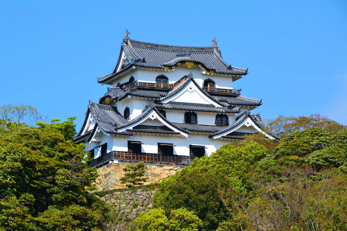 彦根城の世界遺産登録を求める旗とポスターが並ぶ彦根市内の街並み。地元住民の強い期待と熱意が感じられる風景。