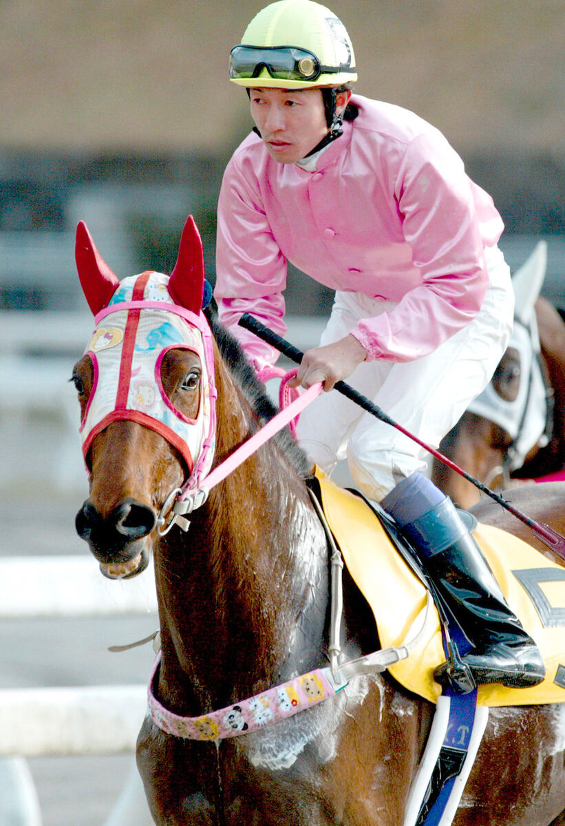 高知競馬場　ハルウララ　馬券•交通安全御守 高知競馬場 ハルウララ 馬券•交通安全御守 - メルカリ