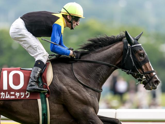 ローズS予想】1着馬の前走パターンは2つ？ 過去データから探る