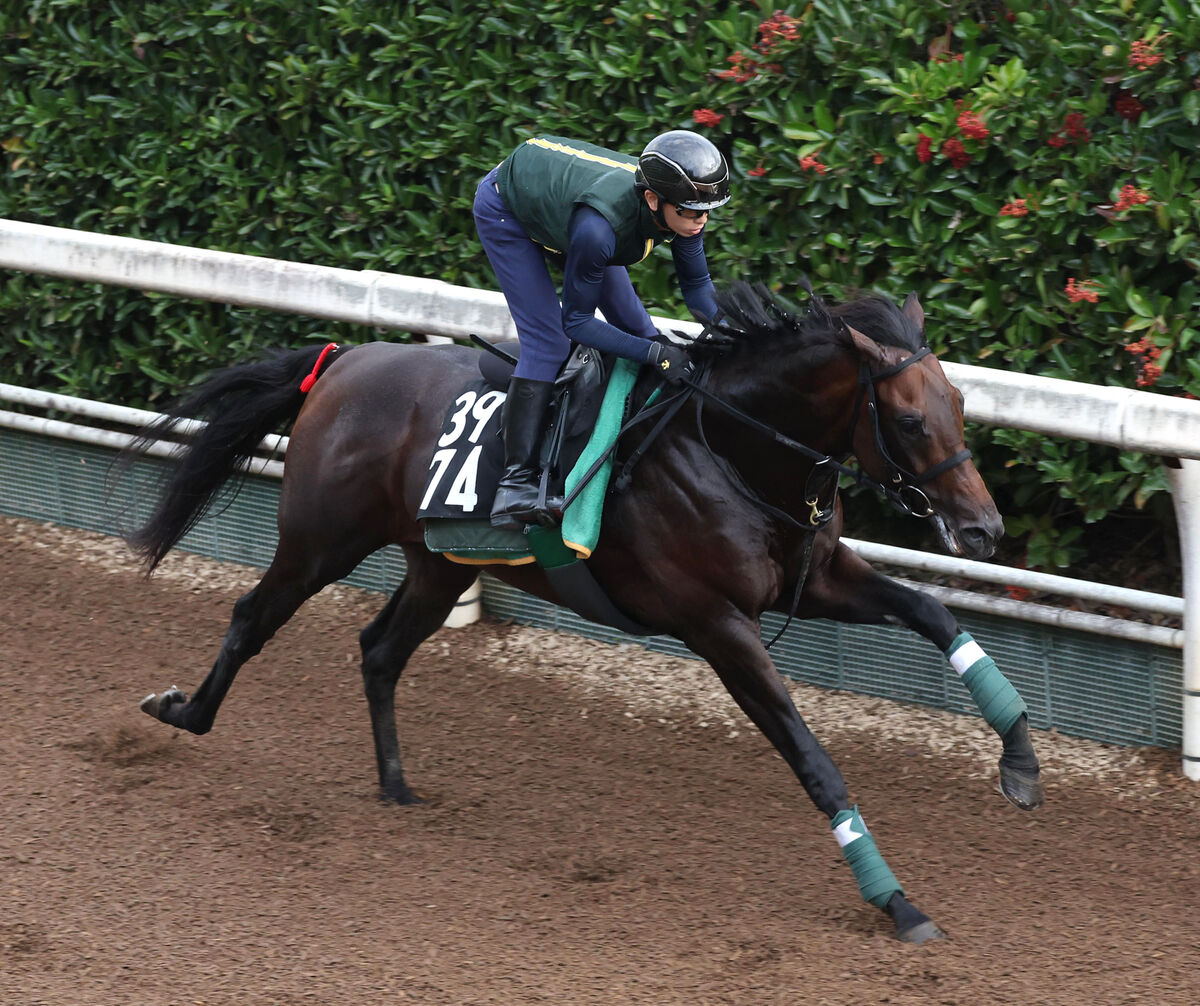 合馬公式 ◻︎papakeiba′25◻︎-重賞が勝負- 【第076号】【勝負】中山11R