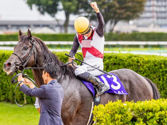 jra競馬スプリンターズS トロットスター優勝パネル jra競馬スプリンターズS トロットスター優勝パネル