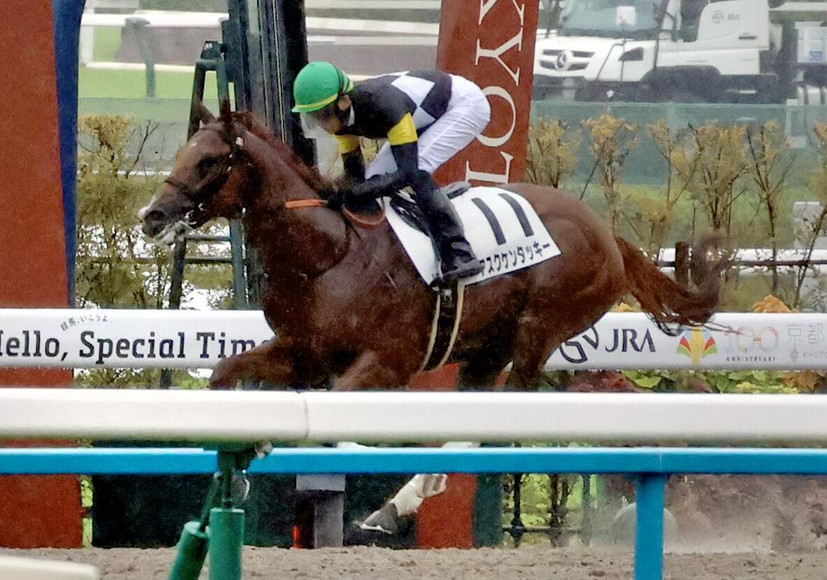 【中古】 競馬・勝ち組 年間収支プラス素人名人に聞く/新紀元社/新紀元社 京都3R・2歳新馬】米国産馬アスクケンタッキーが4馬身差で