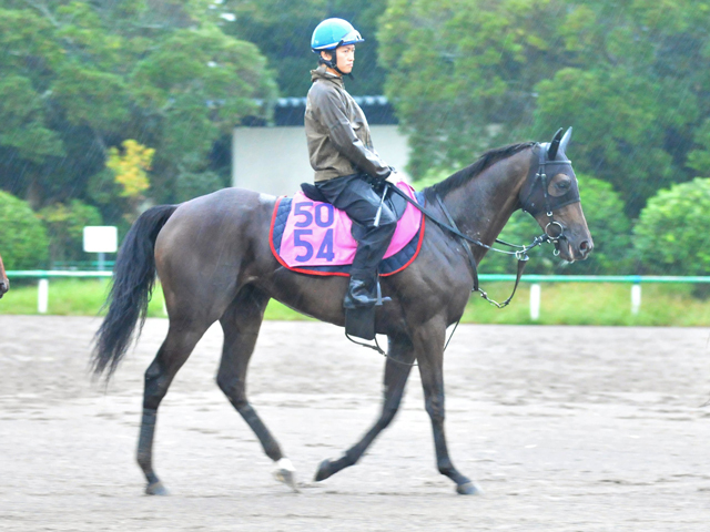 イクイノックス　セット イクイノックスの初年度産駒 今月誕生！初仔は10日予定