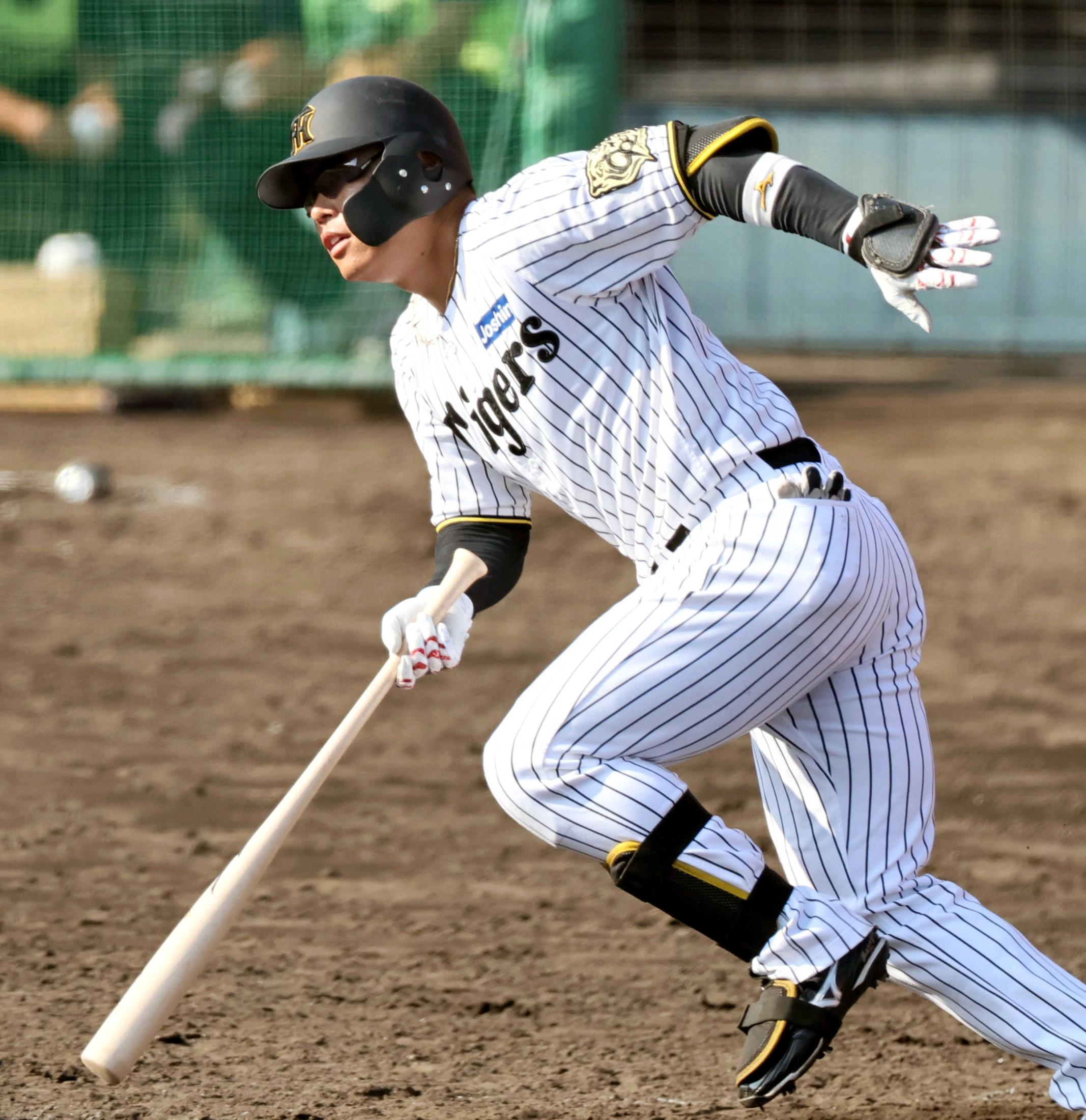 阪神 原口選手 実使用バット 85cm 阪神 原口選手 実使用バット 85cm 阪神 バット」の人気商品一覧