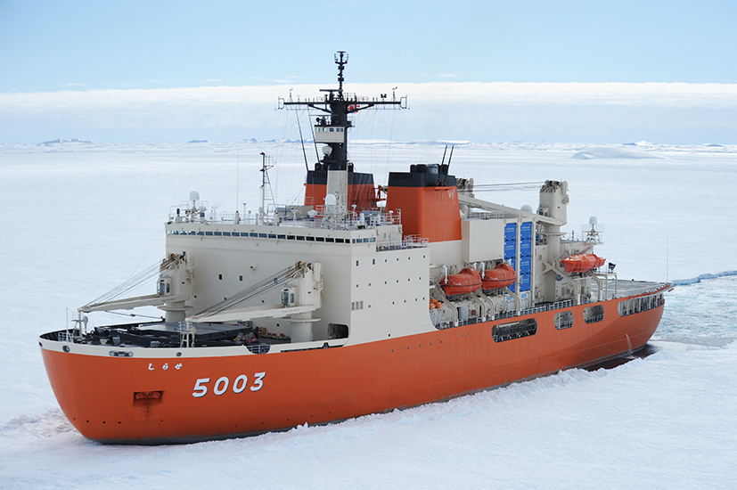 D 南極 南極の石 しらせ  昭和基地 南極観測船　ふじ 電子版】南極観測船「しらせ」、昭和基地沖に到着 氷砕く