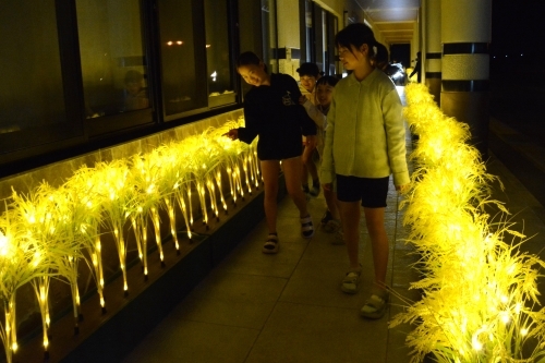 ヒカリノアゼミチ