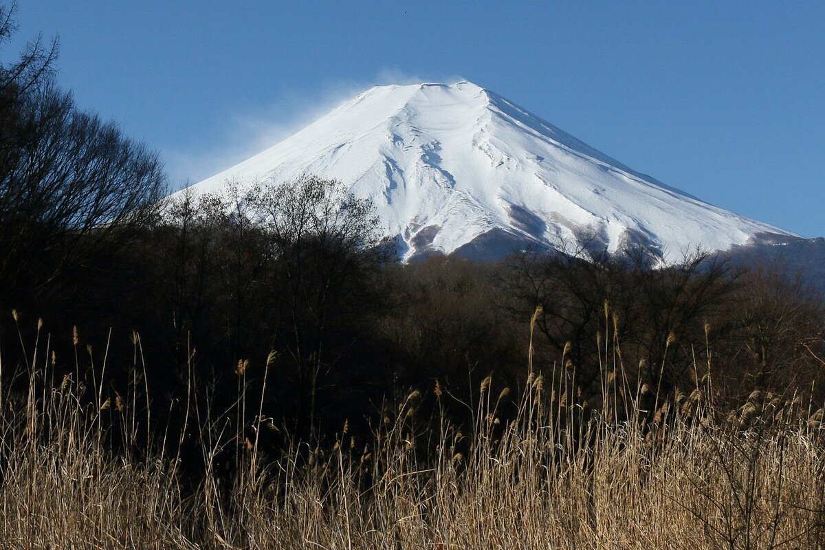 富士山麓に散乱する大量の「尿入りペットボトル」。美しい世界遺産の景観を損ない、さらに放置すれば爆発の危険性もある廃棄物問題の現状。