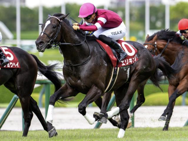 JRA 競馬 レプリカ 勝負服 アサクサキングス 四位騎手 新品未使用 菊花賞 2007年 菊花賞（JpnI） | アサクサキングス | JRA公式 - YouTube