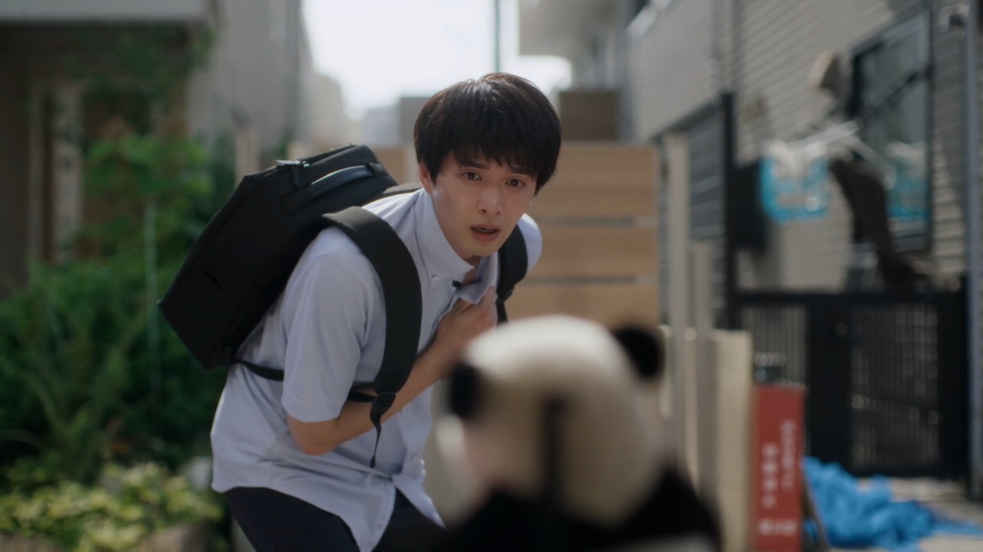 白洲迅、“子ども感”あふれる演技で視聴者の母性本能を刺激「家にかわいい動物がいてほしいんだよ…」<今日もふたり、スキップで>(WEBザテレビジョン) - Yahoo!ニュース