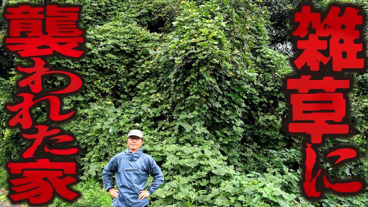 ジャングルと化した空き家を覆う大量の雑草とクズ。プロの庭師が除草作業を開始する前の様子。空き家管理の重要性を示す