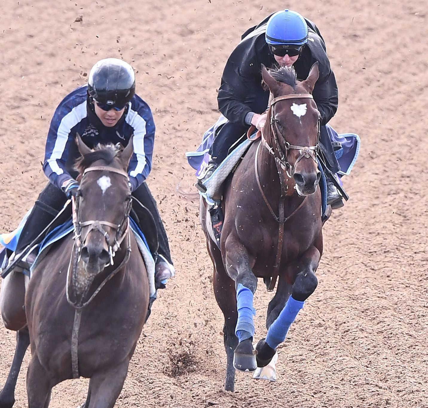 天皇賞】タスティエーラ 底力に期待 1年ぶりの国内競馬 堀師「ひと