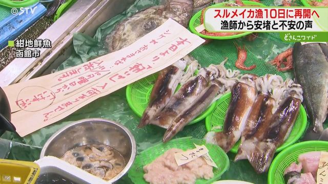 禁漁から一転、再開へ「ありがたい」漁師から安堵の声　小型船のスルメイカ漁　道が特別採捕許可（STVニュース北海道）