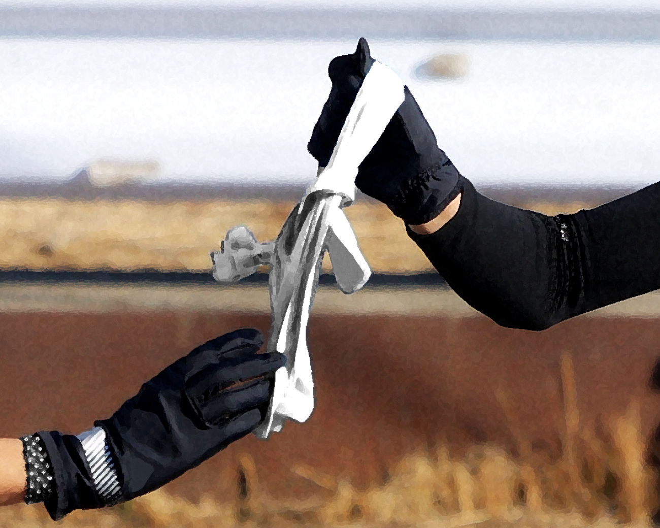 【高校駅伝】誤誘導で異例の救済 神奈川県大会で記録無効の三浦学苑が関東大会へオープン参加(日刊スポーツ)