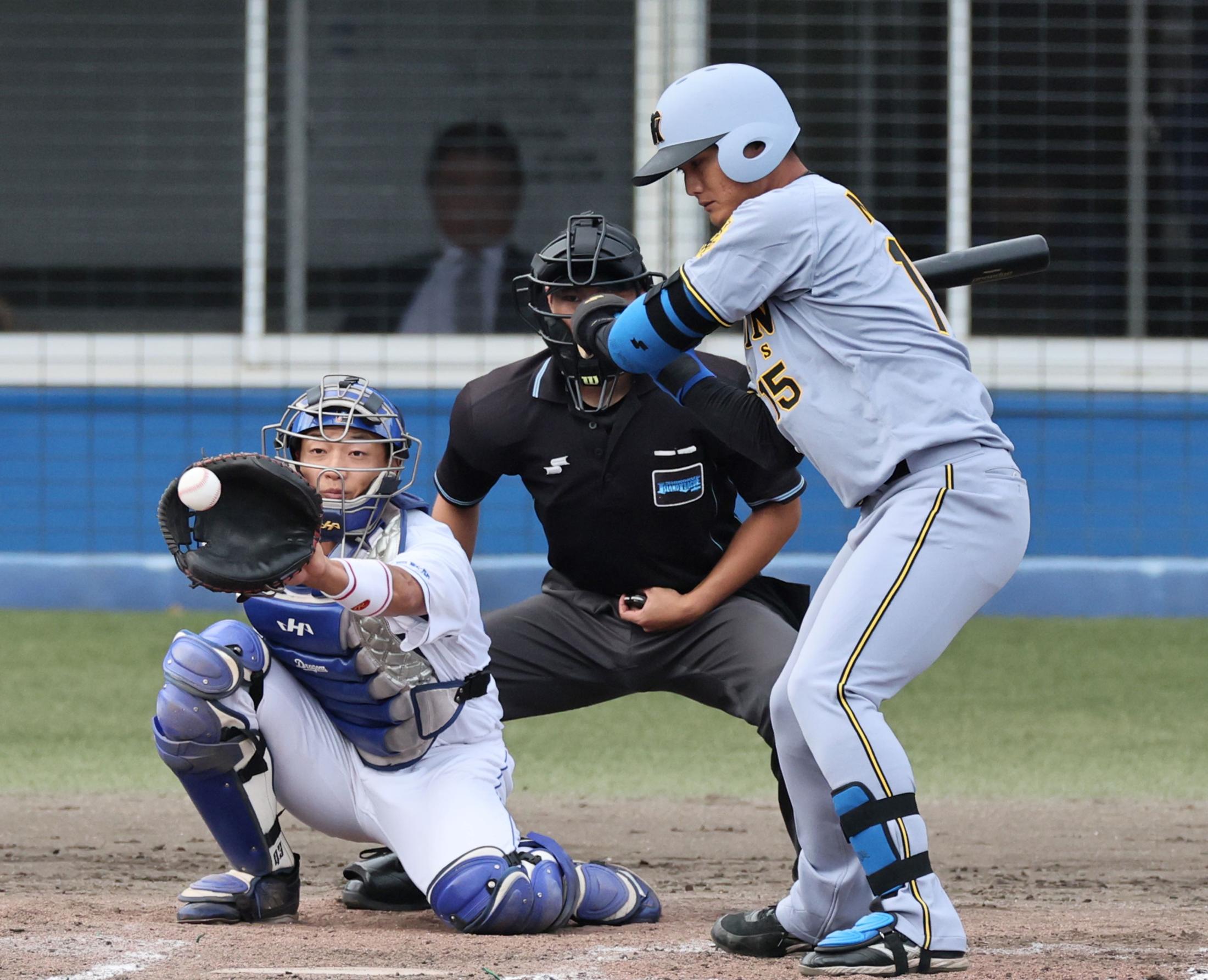 阪神 西純が野手として実戦初打席 粘るも7球目に見逃し三振に倒れる 代打のコールに場内大歓声(デイリースポーツ)