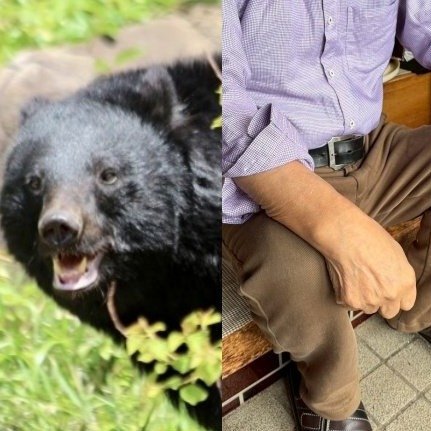「頭から血がドバドバ出て…」「クマは真っ赤な眼をしていた」秋田・住宅街でクマが高齢者を続々と襲撃 80代男性「次襲われたら諦めるしかない」 「頭から血がドバドバ出て…」「クマは真っ赤な眼をしていた」秋田・住宅街でクマが高齢者を続々と襲撃 80代男性「次襲われたら諦めるしかない」
