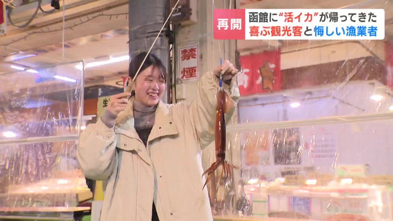 函館に“活イカ”が帰ってきた「資源調査」名目で漁再開…笑顔の観光客の一方で漁業者は「逃がした魚は大きい」と悔しさにじませる（HBCニュース北海道）