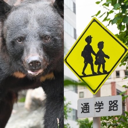 「子どもの送迎が負担」「職場の早退がつらい」クマ出没多発で保護者にのしかかる“学校送迎問題”「これ続くとめっちゃストレスだな」秋田県の対応は