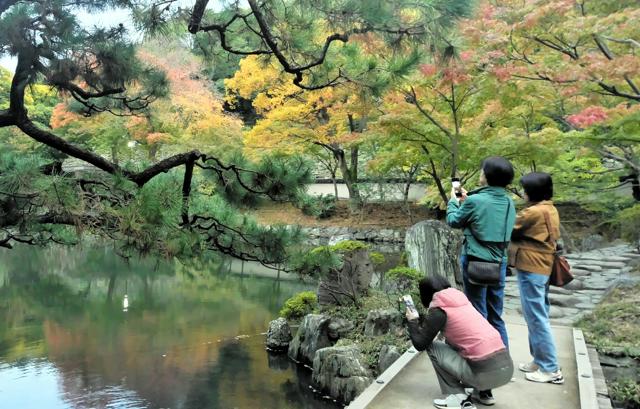 AI判定は「シイタケ」食べたら毒キノコ、和歌山市の男性が食中毒に（朝日新聞） - Yahoo!ニュース