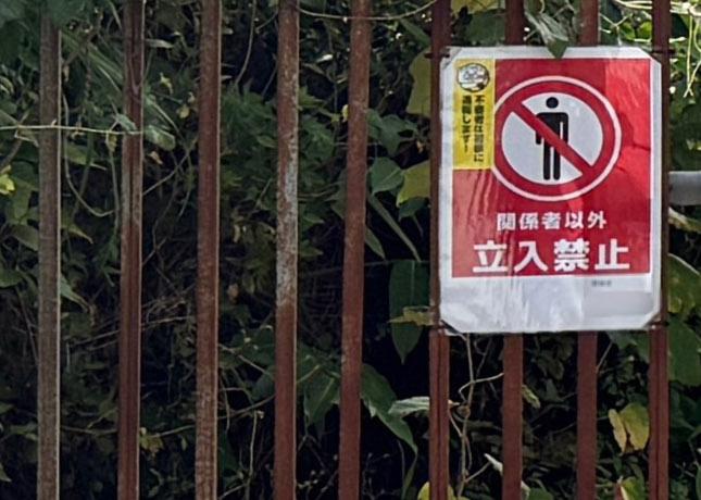 【独自】沖縄の空き家に1億円　少年ら持ち出し「ゾンビたばこ」購入か　住宅街で肝試し（琉球新報） - Yahoo!ニュース