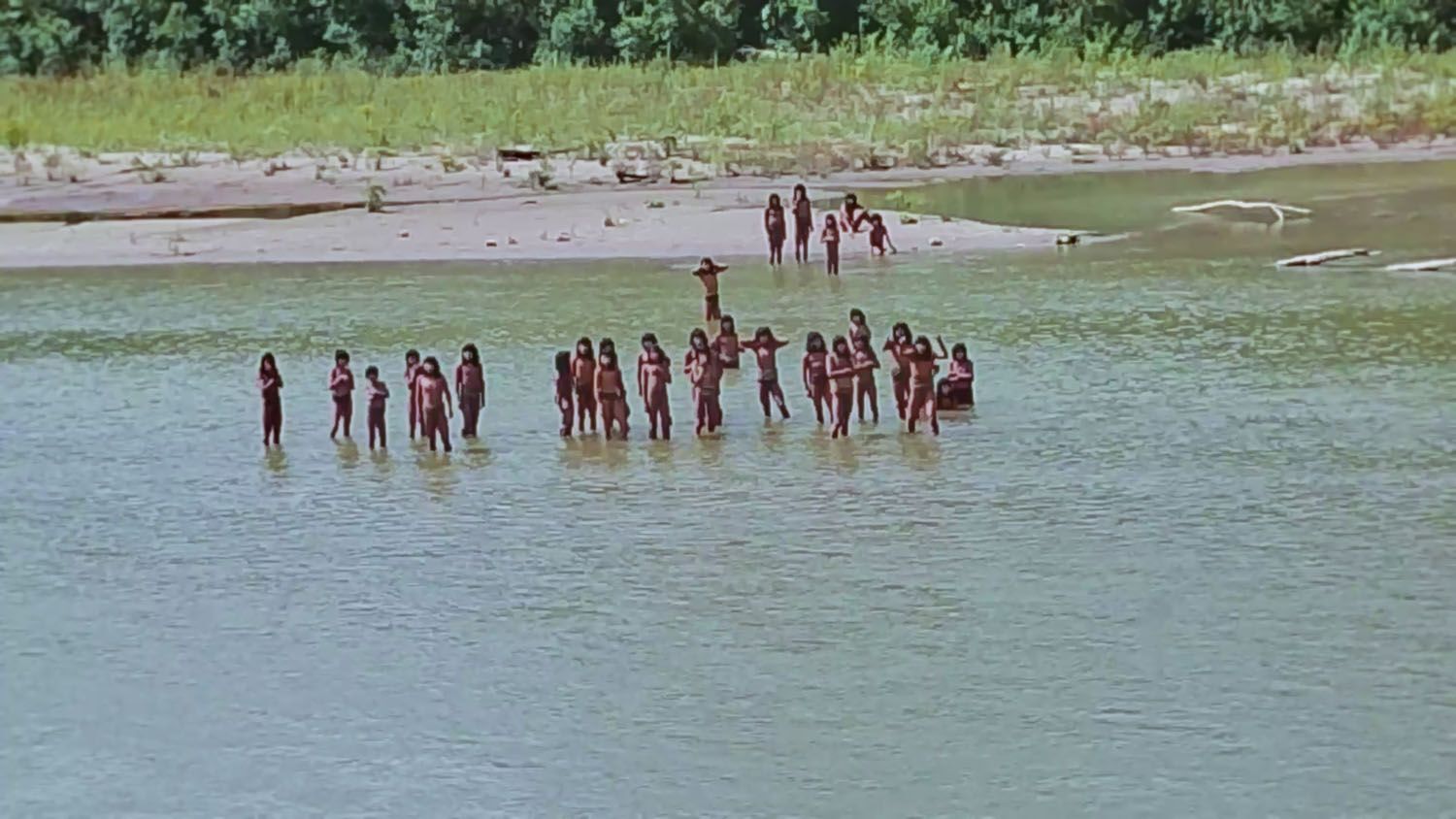 「集落の男性は瀕死の重傷」「犬が死骸で…」アマゾン奥地に暮らす“イゾラド”が10年ぶりに出現…攻撃的な態度を見せたワケ（文春オンライン） - Yahoo!ニュース