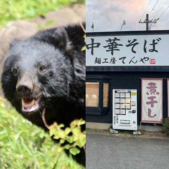 〈青森・クマがラーメン店襲撃〉「笑えないです」ボコボコにしてクマを返り討ち“レジェンド”と賞賛された男性はまぶたが腫れあがり骨折「補助金なし」で休業せざるえないオーナーの慟哭 〈青森・クマがラーメン店襲撃〉「笑えないです」ボコボコにしてクマを返り討ち“レジェンド”と賞賛された男性はまぶたが腫れあがり骨折「補助金なし」で休業せざるえないオーナーの慟哭