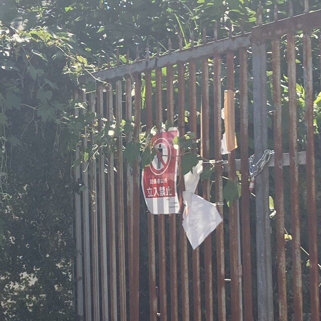 〈肝試しで空き家に侵入、壁壊したら1億円〉盗んだ金で「ゾンビたばこ購入した」「バイクや貴金属も…」20人以上の少年が関与した“沖縄1億円事件”と背後に見えた“ドラッグ禍” 〈肝試しで空き家に侵入、壁壊したら1億円〉盗んだ金で「ゾンビたばこ購入した」「バイクや貴金属も…」20人以上の少年が関与した“沖縄1億円事件”と背後に見えた“ドラッグ禍”