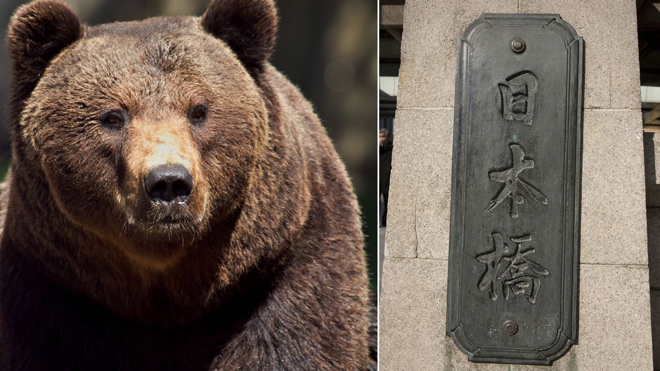 秋田のイオンに侵入したクマのイメージ写真