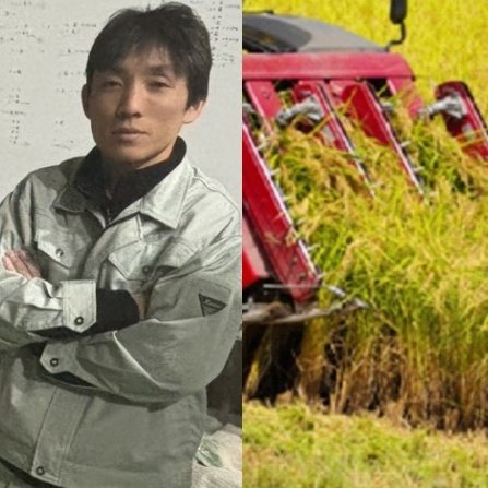 コメの生産現場で作業する岡田伸幸代表