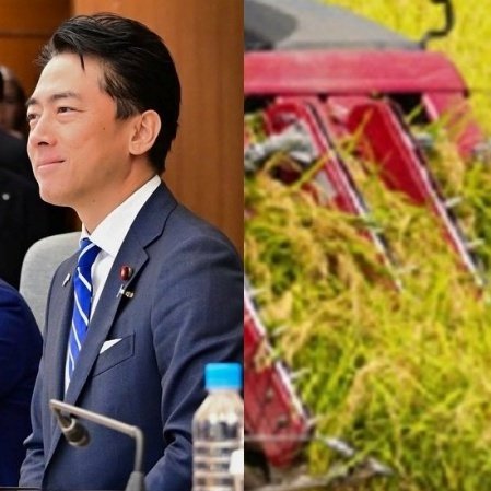 〈コメ最高値〉「農協の吊り上げは異常だった」米業者が明かす価格暴騰と失速の真相「政府も進次郎前大臣も問題だった」（集英社オンライン） - Yahoo!ニュース