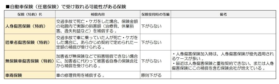 自動車保険の書類を確認する手元