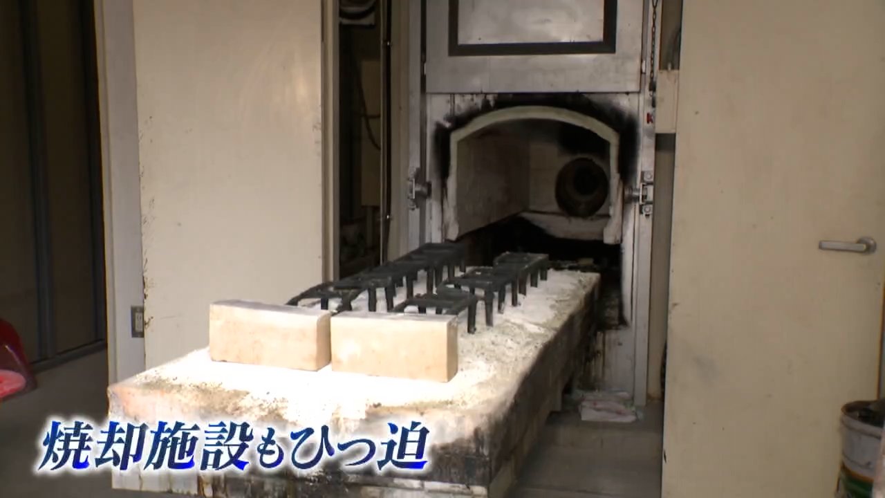 駆除数17倍、クマ1頭の焼却に灯油100リットルで今季7000リットル以上使用した施設も…処理に追われる自治体　料理人はフレンチの技で“命の循環”（HBCニュース北海道） - Yahoo!ニュース