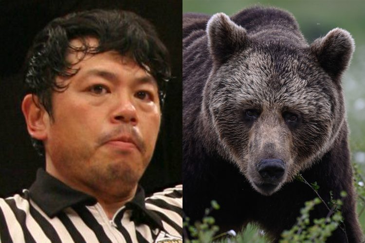 クマ被害で亡くなった笹崎勝巳氏の肖像とクマのイメージ写真