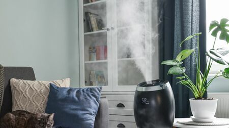 失敗しない「加湿器選び」徹底ガイド。家電ライターが教える電気代・衛生面・用途別オススメ機種――意外と知らない“置いてはいけない場所”とは？