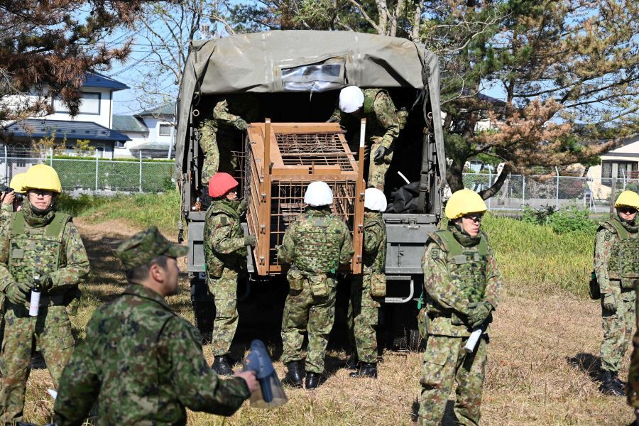クマ対策のため、秋田では自衛隊が出動するほど深刻な事態に……