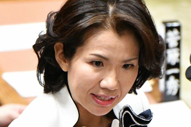 参政党の政調会長補佐を務める豊田真由子氏