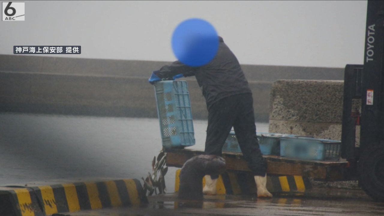 アジなど死んだ魚約７キロを海に捨てた疑い　漁師アルバイトの７７歳男を逮捕・送検　兵庫・南あわじ市の岸壁から（ABCニュース） - Yahoo!ニュース