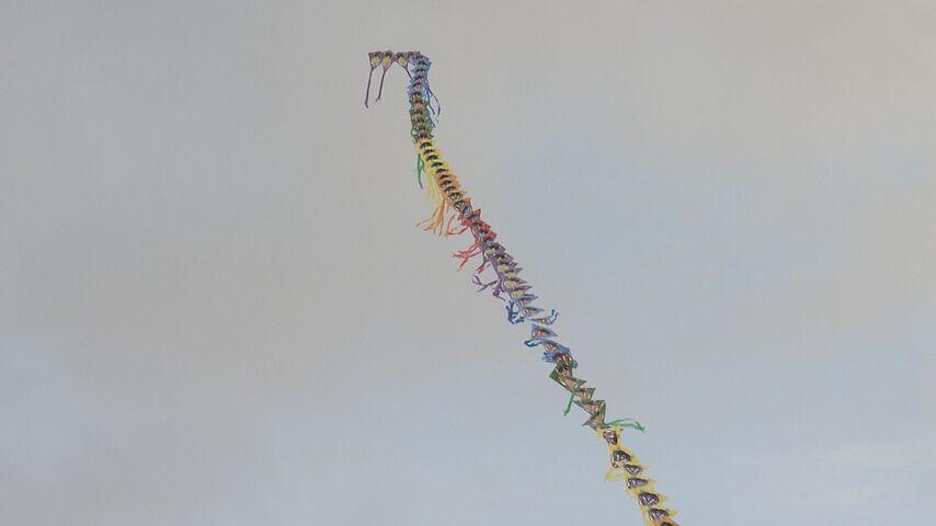 「１、２、３、ゴー！」空を舞う100枚の「連凧」 全長80m…札幌市東区で新春恒例の凧揚げ大会(HTB北海道ニュース)