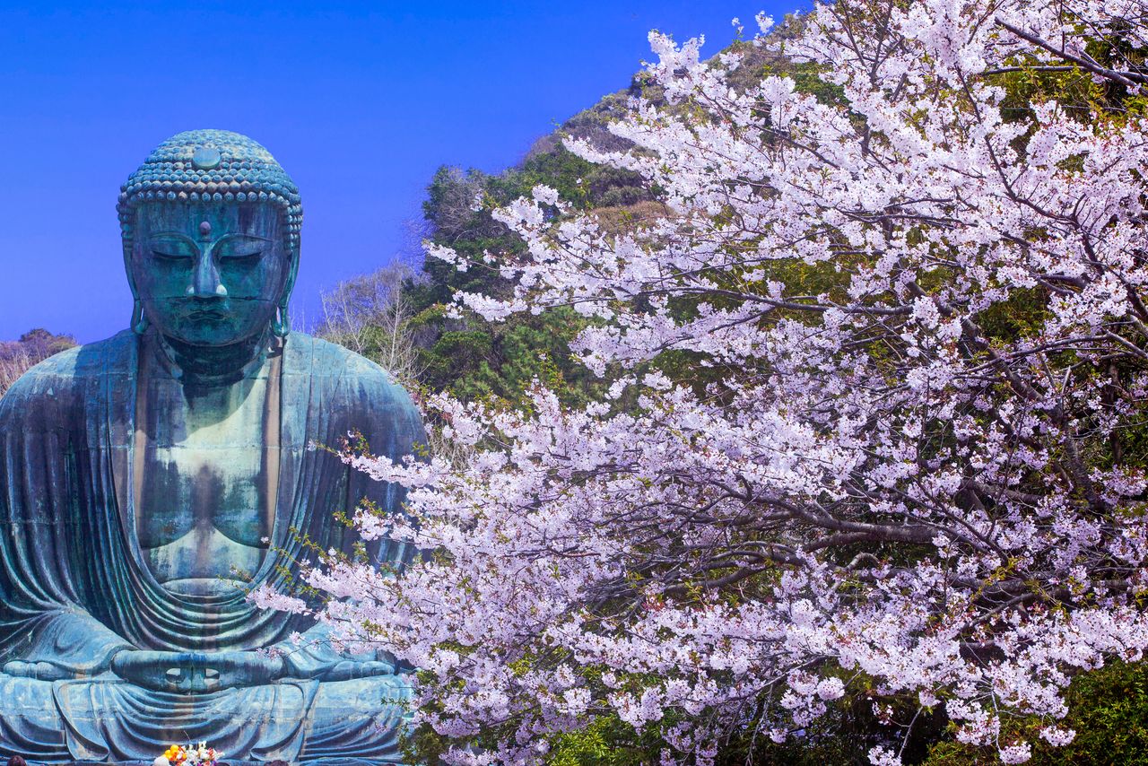 国宝・鎌倉大仏：四季折々の魅力あふれる古都のシンボル（nippon.com