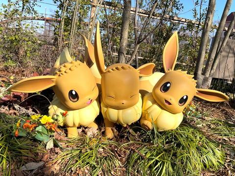 ポケパーク カントー」はチケット価格に見合う価値があるのか？（GAME