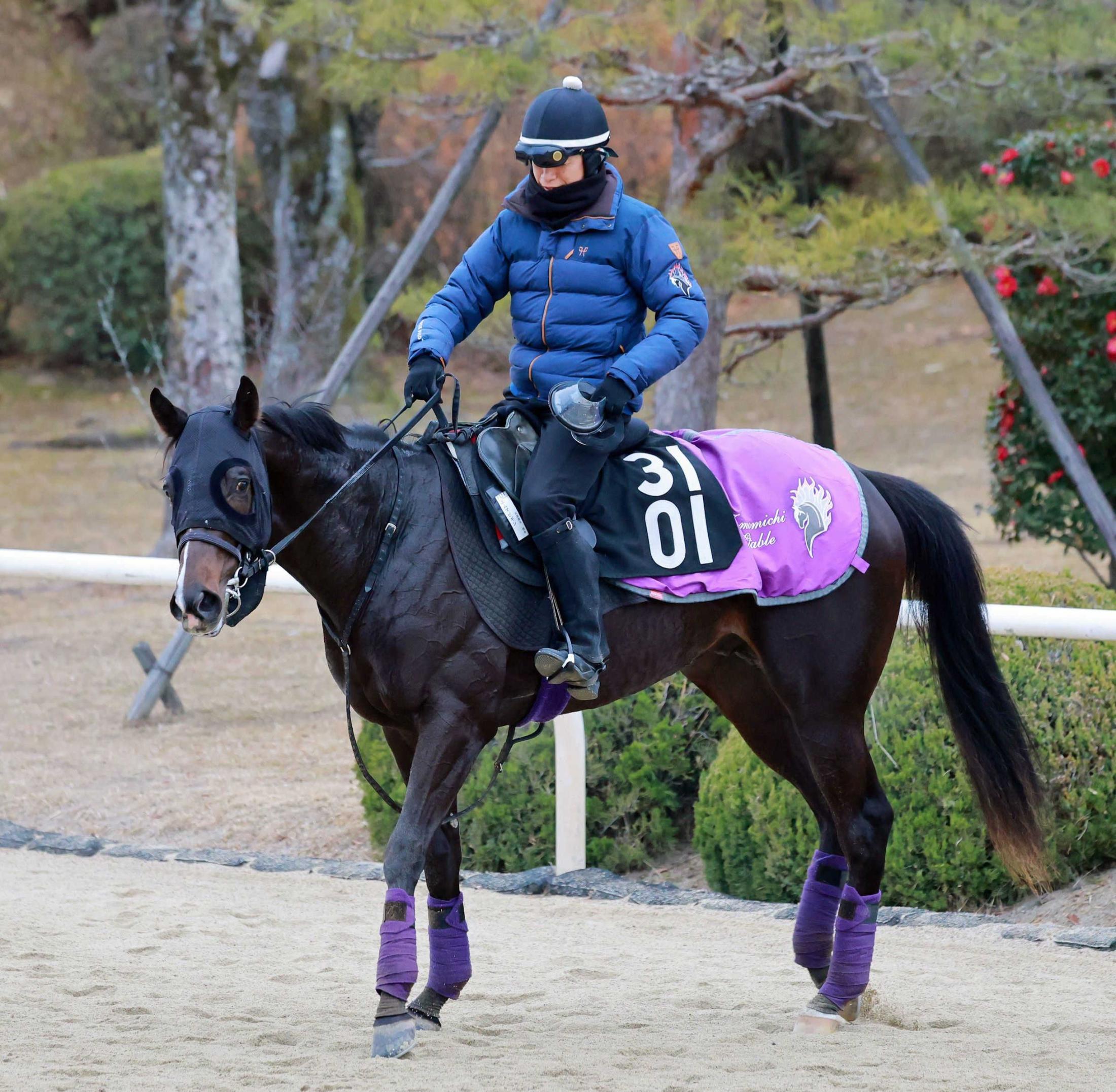 きさらぎ賞】“6億円ホース”エムズビギン 状態も高値 キタサン産駒が