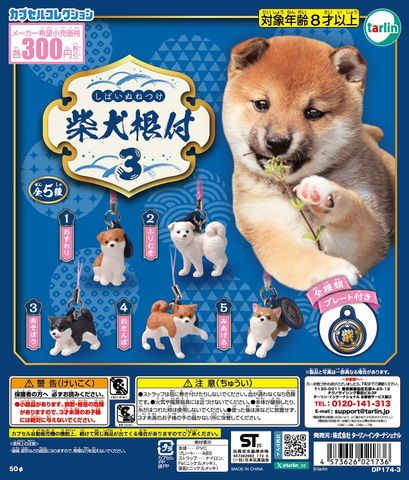 しばいぬ品 柴犬の色んなポーズをキーホルダーに！ カプセルトイ「柴犬根付3」2月