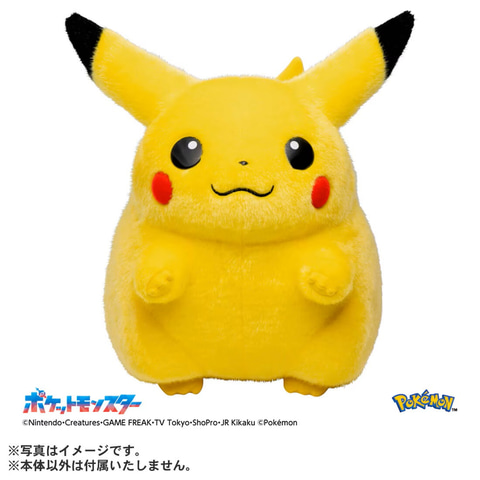 タカラトミーモールにてぬいぐるみ「おかえり！ピカチュウ1/1」の5月