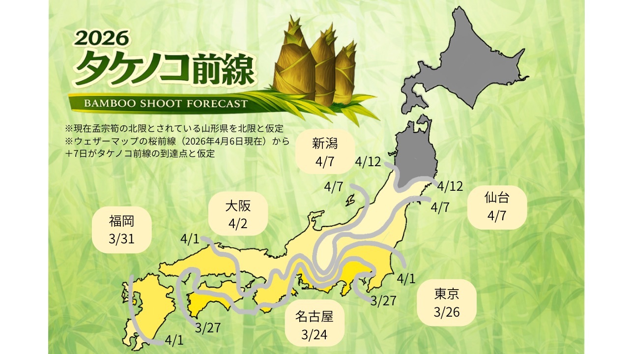 桜の次は『地面』に注目！日本列島を北上中の『タケノコ前線