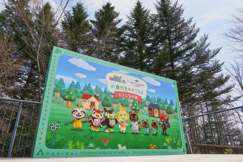 あつまれ どうぶつの森」、長野・蓼科「東急リゾートタウン蓼科