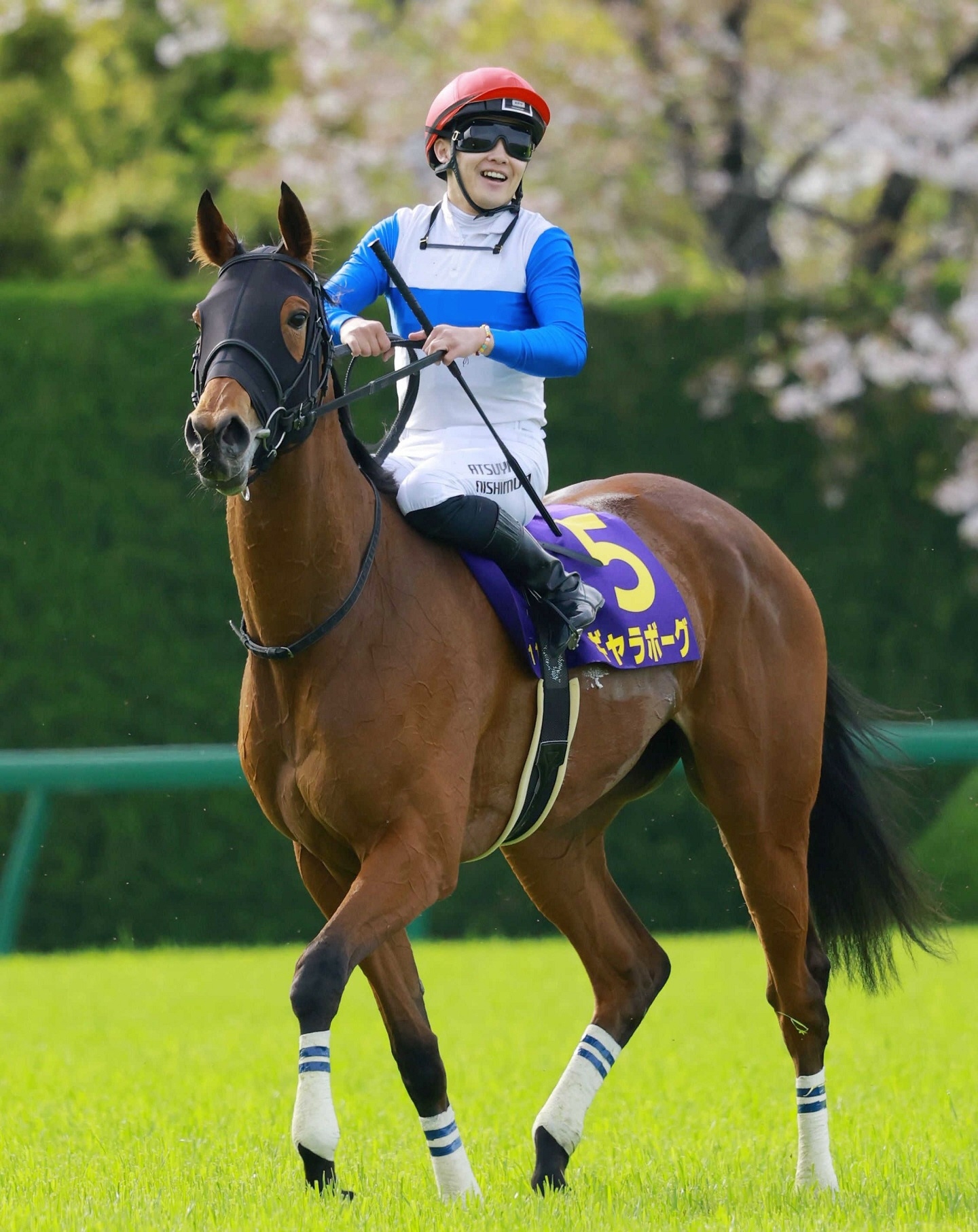 競馬2着馬物語 競馬2着馬物語 / G1レースSR研究会 - 紀伊國屋書店ウェブストア