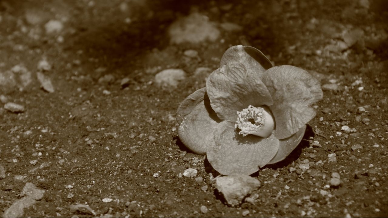 【社会】「会社を辞めたら孤独死しかない」60代独身男性が絶望する「たった一人の老後」